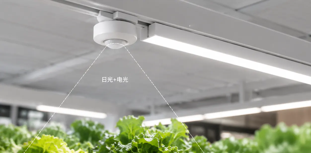 Closed-loop photocell on ceiling facing merchandise plane controlling daylight harvesting per bay