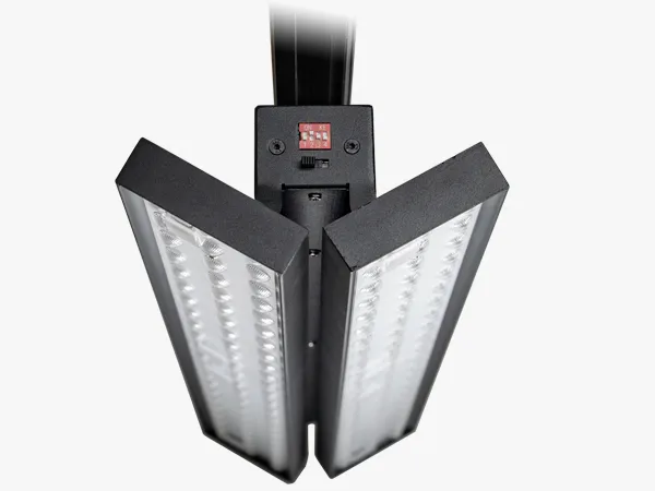 PANE-P LL1615 dual-panel linear light for even office lighting